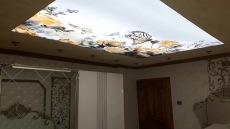 Sarý laleler ve kelebekler gergi tavan