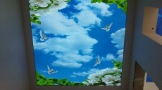 Gergi Tavan modelleri