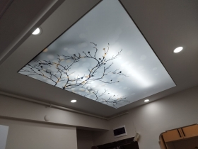 Gergi Tavan modelleri