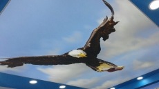 Tezgah aras� cam modelleri