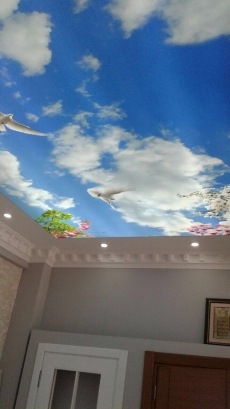 Gergi Tavan modelleri