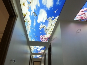 Koridor, Gergi ,Tavan, Modelleri