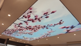 Gergi Tavan modelleri