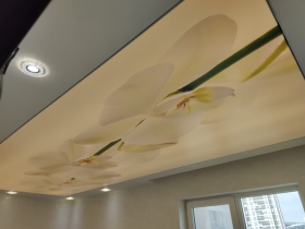 Salon ,Gergi, Tavan, Modelleri