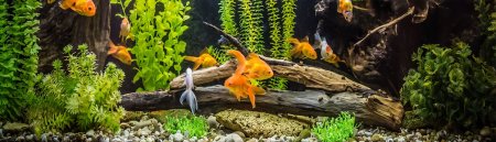 TEZGAH ARASI CAM PANEL YAPILACAK ZEMİNİN NASIL OLMASI GEREKİYOR  TEZGAH ARASI CAM PANEL YAPILACAK ZEMİNİN NASIL OLMASI GEREKİYOR