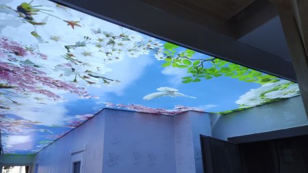 Gergi Tavan, Barisol, Germe Tavan, Gergin Tavan farkl�l�klar� nedir?